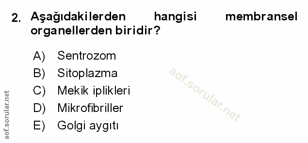 Soru 2