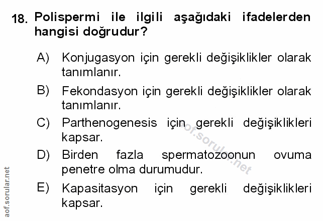 Soru 18