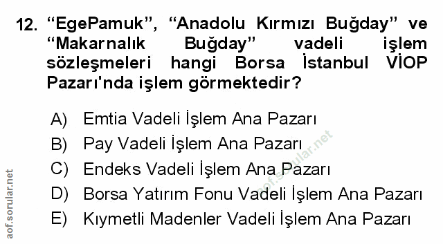Soru 12