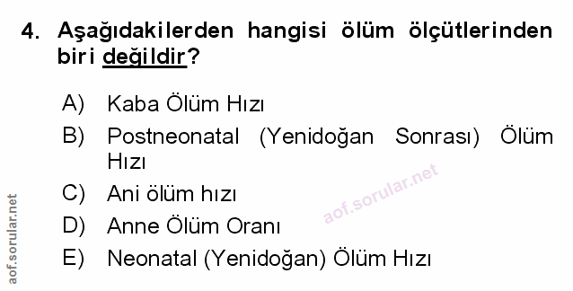 Soru 4