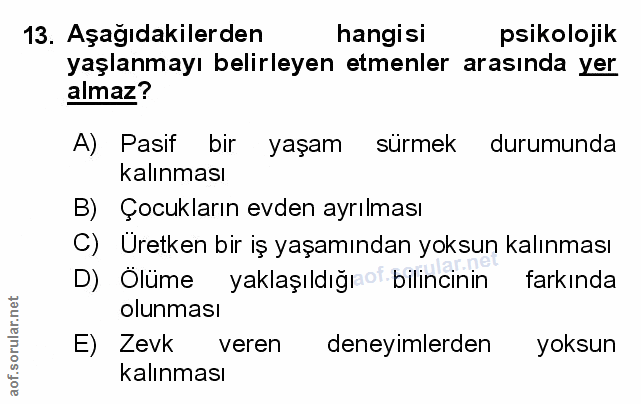 Soru 13