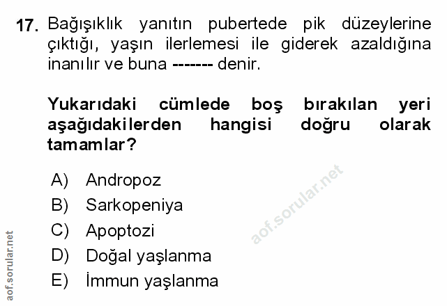 Soru 17