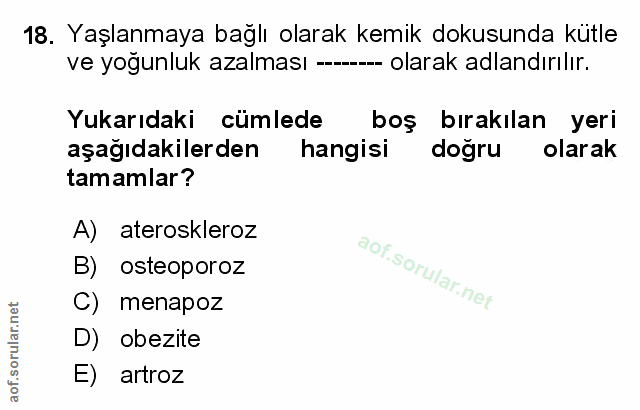 Soru 18