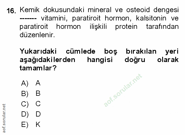 Soru 16