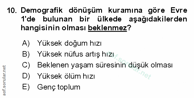 Soru 10