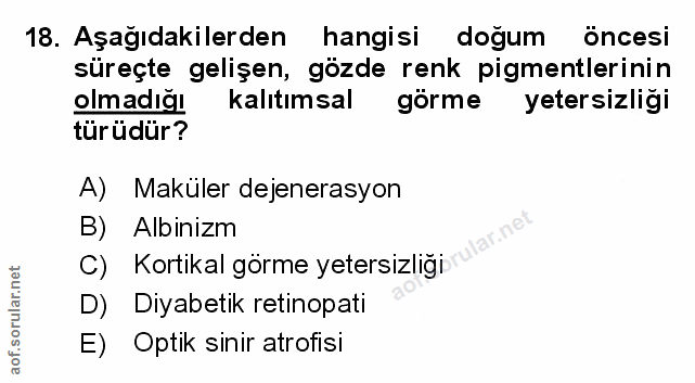 Soru 18