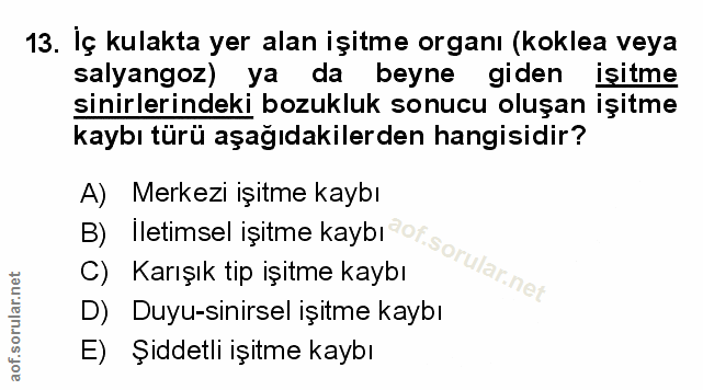 Soru 13