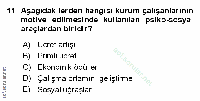 Soru 11