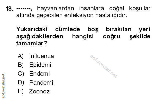 Soru 18