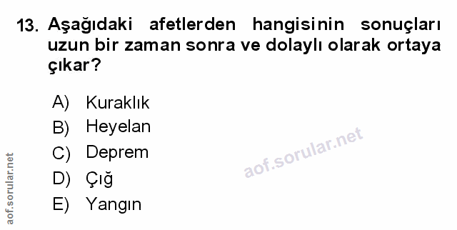 Soru 13