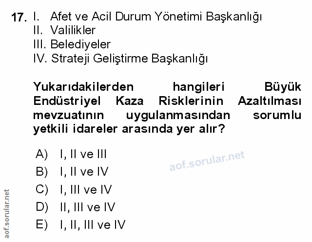 Soru 17