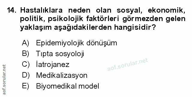 Soru 14