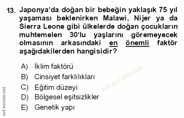 Soru 13