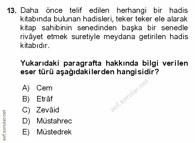 Soru 13