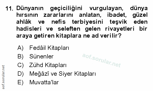 Soru 11