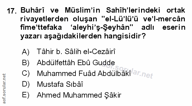 Soru 17