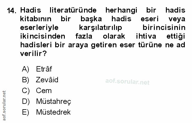 Soru 14