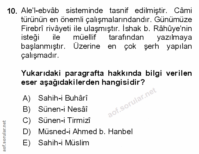 Soru 10