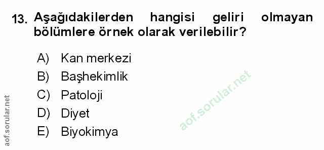 Soru 13