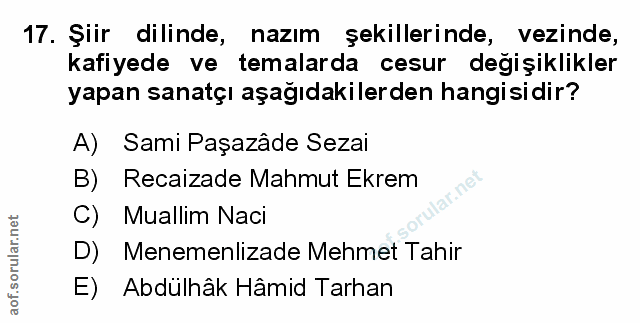 Soru 17