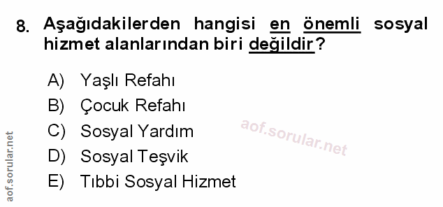 Soru 8
