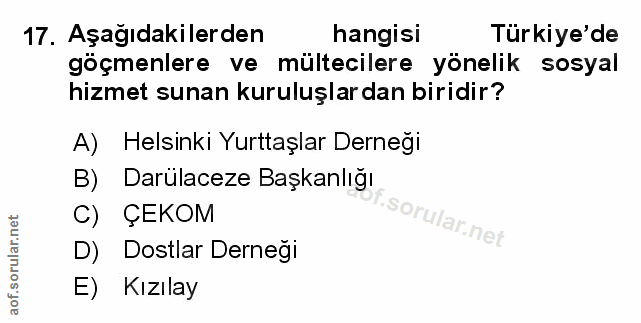 Soru 17