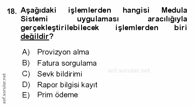Soru 18