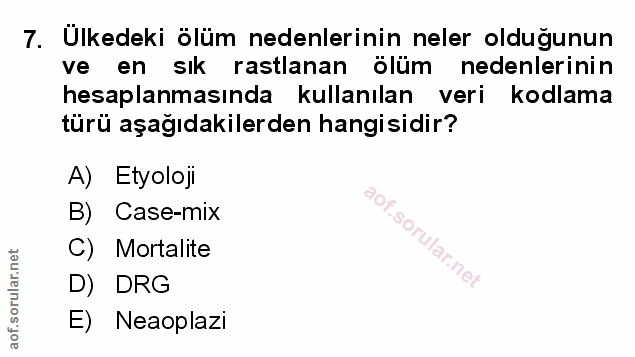 Soru 7