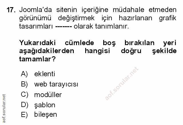 Soru 17