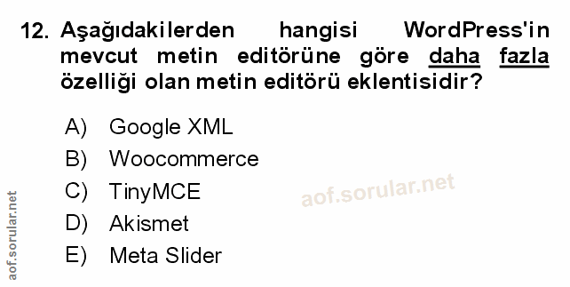 Soru 12