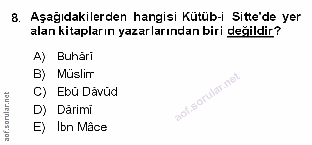 Soru 8