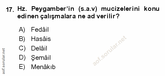 Soru 17