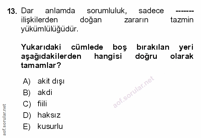 Soru 13