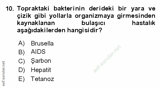 Soru 10