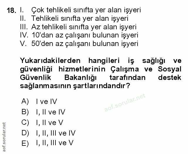 Soru 18