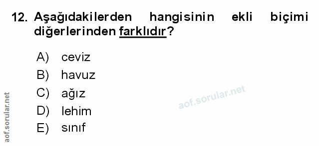 Soru 12