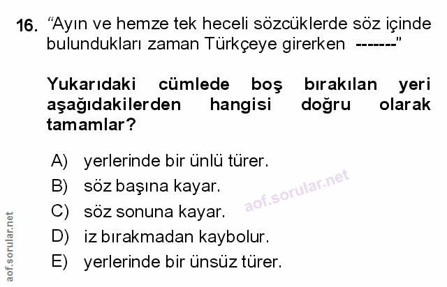 Soru 16
