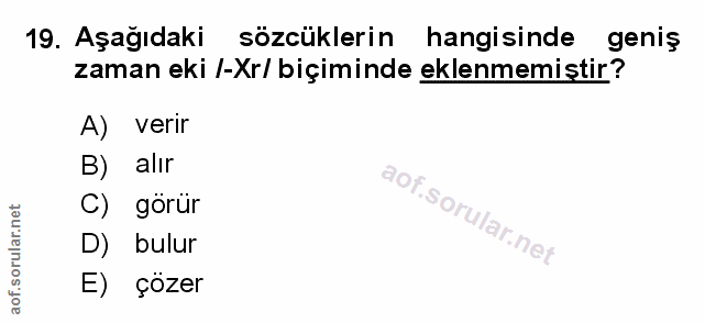 Soru 19