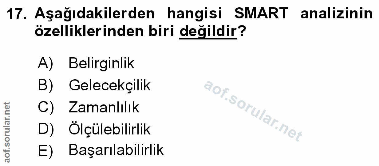 Soru 17