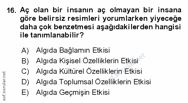 Soru 16