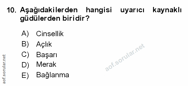 Soru 10