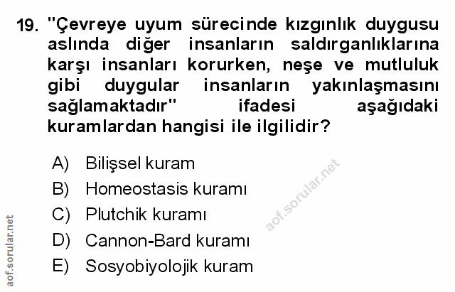 Soru 19