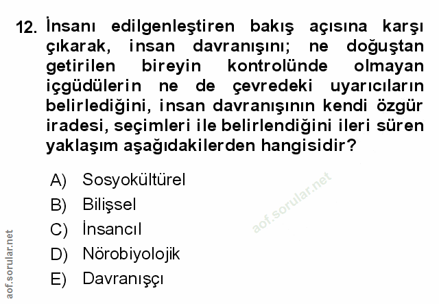 Soru 12