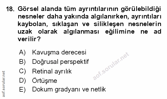 Soru 18