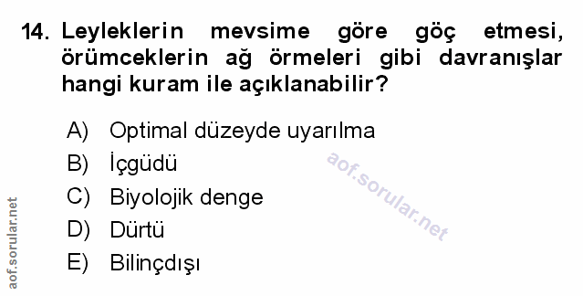 Soru 14