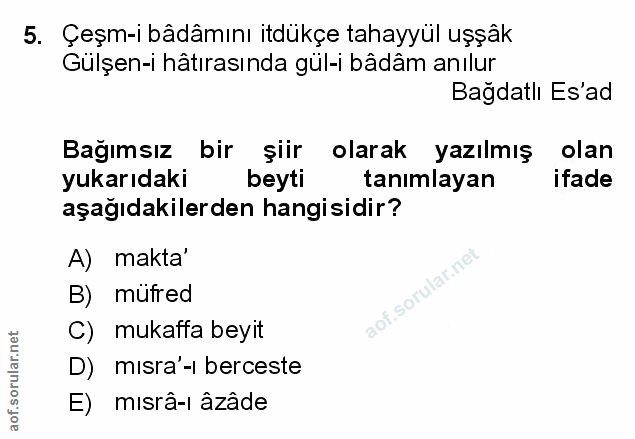 Soru 5