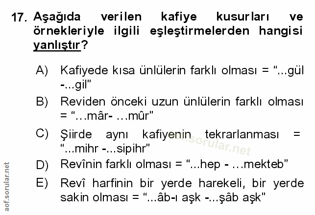 Soru 17