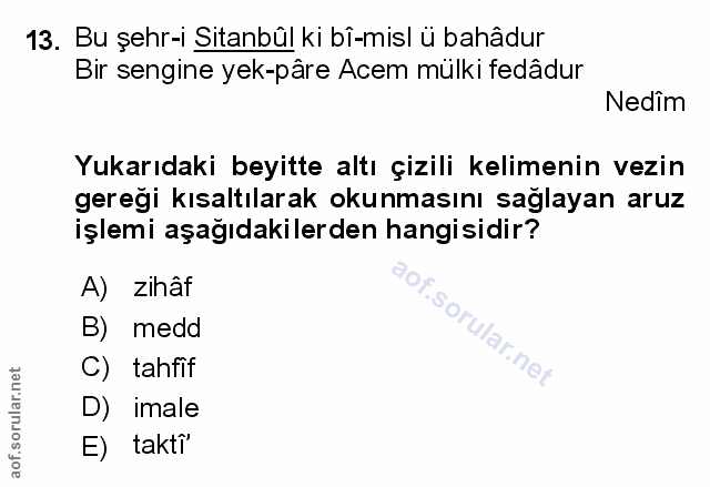 Soru 13
