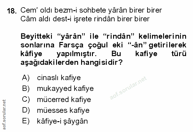 Soru 18
