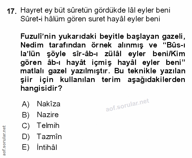 Soru 17